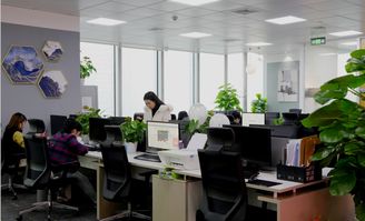 重庆软件开发与网站建设的领军者——途锦科技